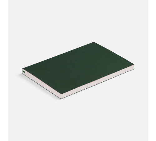 Ежедневник Flat Light ver.2, недатированный, зеленый