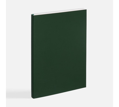 Ежедневник Flat Light ver.2, недатированный, зеленый