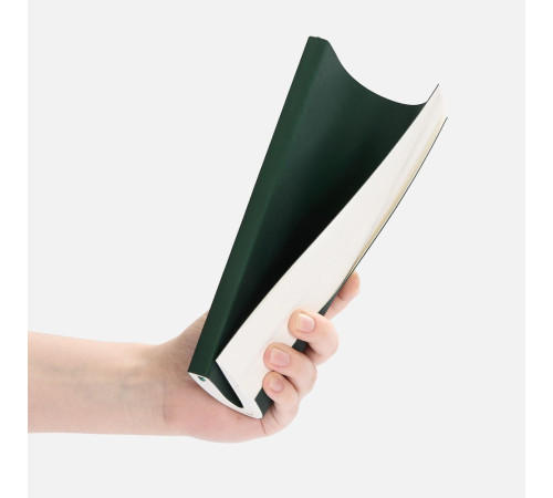 Ежедневник Flat Light ver.2, недатированный, зеленый
