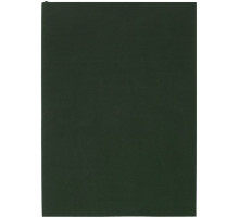 Ежедневник Flat Light, недатированный, зеленый