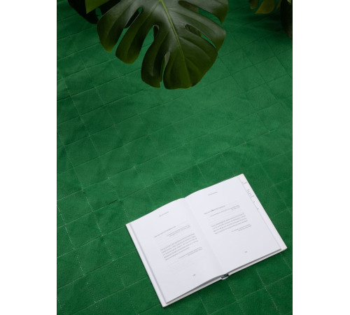 Плед для пикника Soft & Dry 2, зеленый