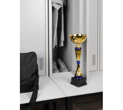 Кубок Awardee, большой, синий