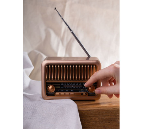 Bluetooth-колонка с радио Beatnik, коричневая