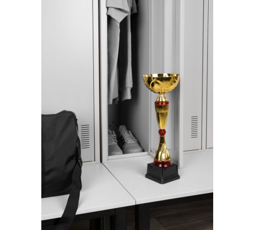 Кубок Awardee, большой, красный