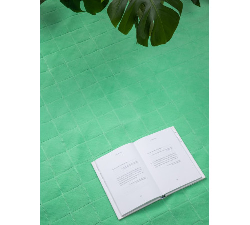 Плед для пикника Soft & Dry 2, светло-зеленый