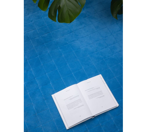 Плед для пикника Soft & Dry 2, ярко-синий