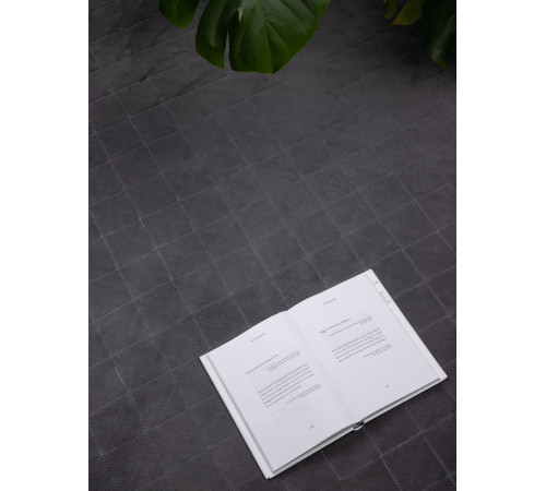 Плед для пикника Soft & Dry 2, серый