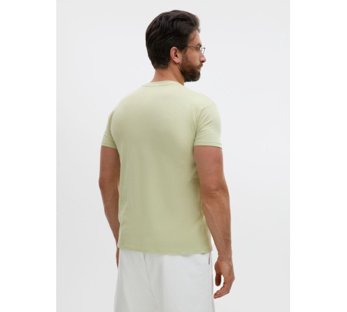 Футболка унисекс Regent 150, лайм