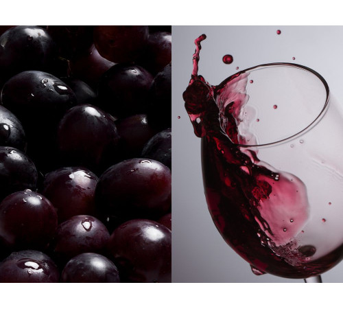 Бокал для вина «Энотека»