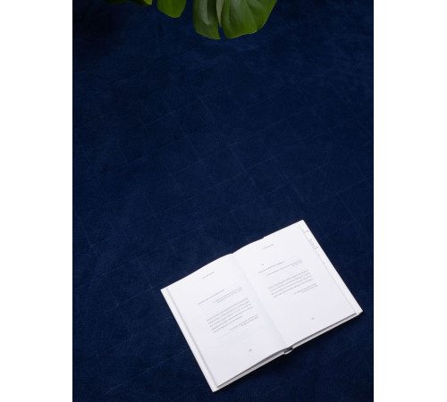 Плед для пикника Soft & Dry 2, синий