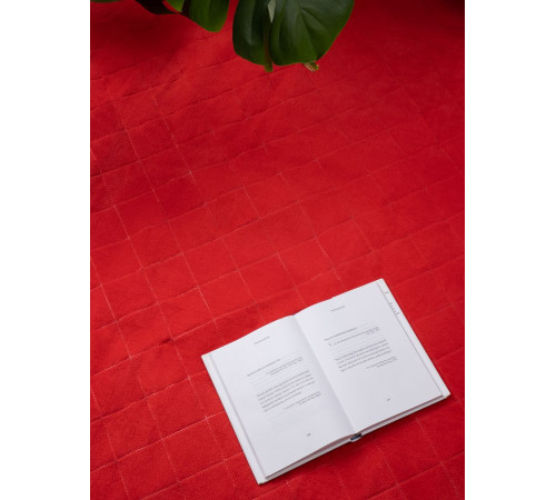 Плед для пикника Soft & Dry 2, красный