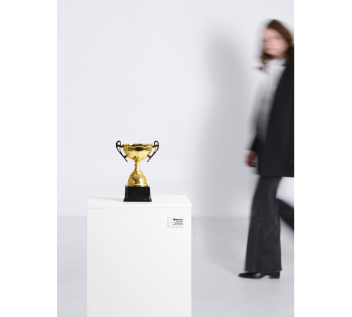 Кубок Meritus, большой, золотистый