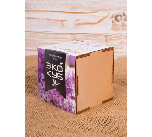 Набор для выращивания «Экокуб Lite», сирень