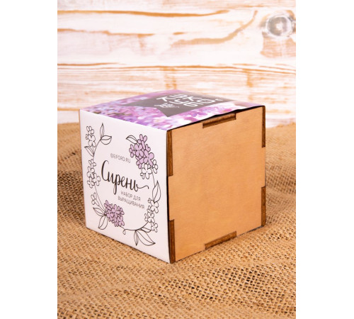 Набор для выращивания «Экокуб Lite», сирень