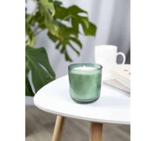 Набор Vitral, дубовый мох и пачули, зеленый