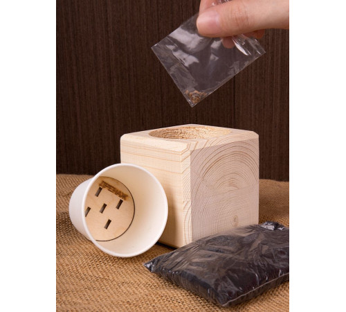 Набор для выращивания «Экокуб», ель голубая