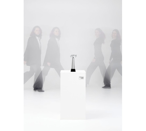 Кубок Cupture, большой