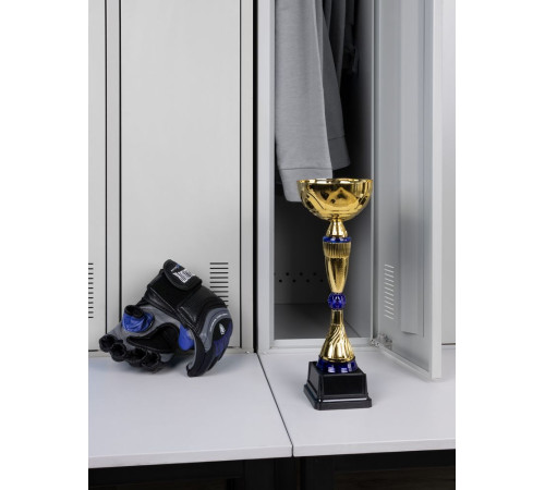 Кубок Awardee, средний, синий