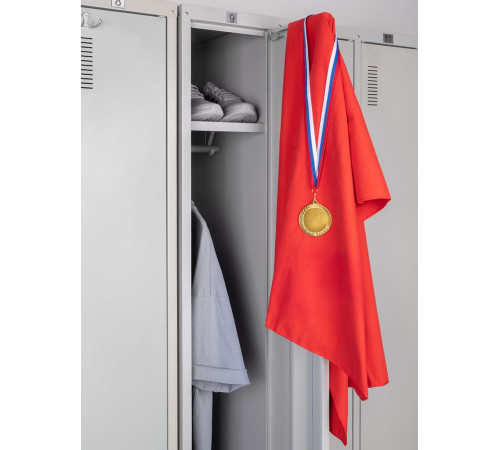 Медаль Regalia, большая, золотистая