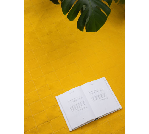 Плед для пикника Soft & Dry 2, желтый