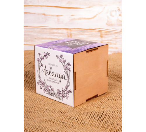 Набор для выращивания «Экокуб Lite», лаванда