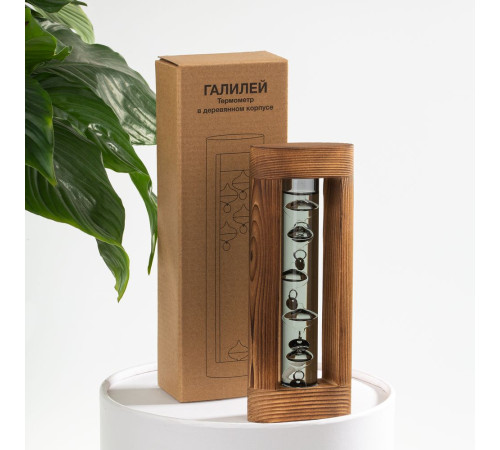 Термометр «Галилей» в деревянном корпусе, серый