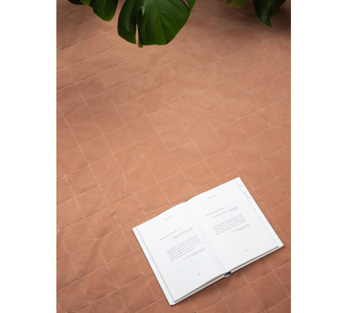 Плед для пикника Soft & Dry 2, бежевый