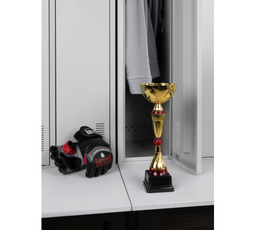 Кубок Awardee, средний, красный