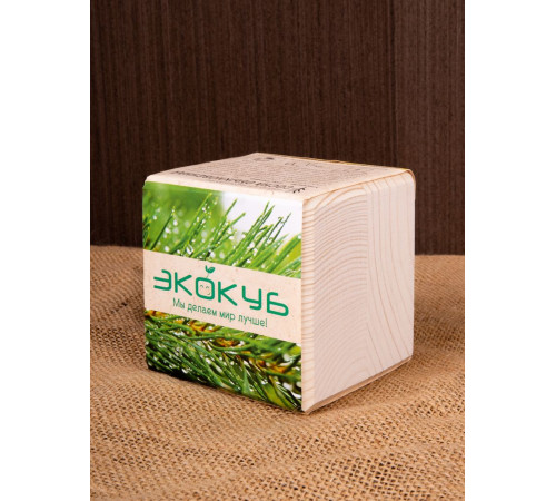 Набор для выращивания «Экокуб», сосна