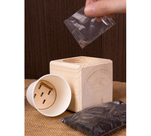 Набор для выращивания «Экокуб», сосна