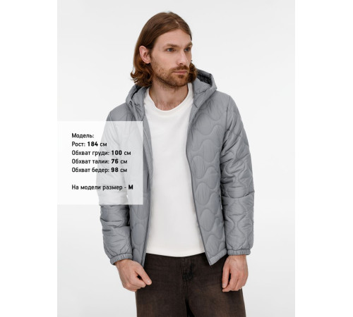 Куртка унисекс Tarnaby, светло-серая
