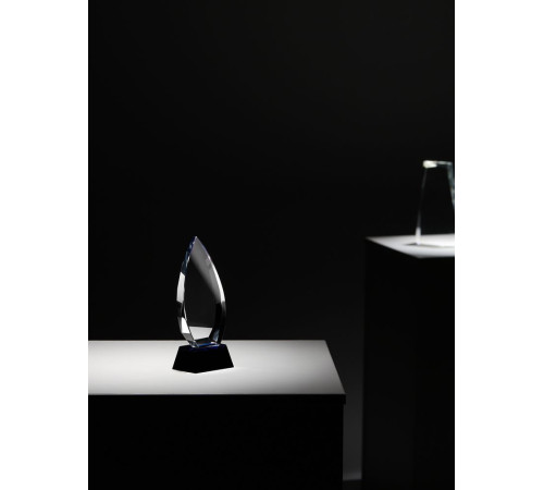 Награда Droplet