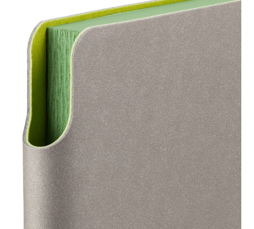 Ежедневник Flexpen, недатированный, серебристо-зеленый