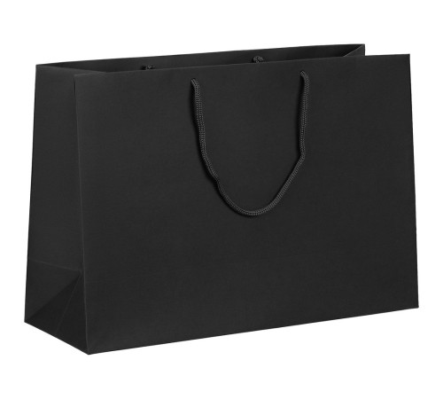 Пакет бумажный Ample Plus M, черный