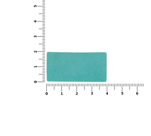 Лейбл Listra Latte, XS, бирюзовый