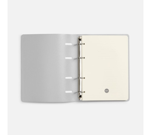 Ежедневник Ringo, недатированный, серебристый