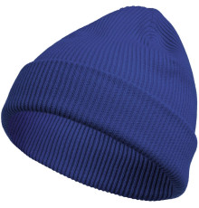 Шапка Life Explorer, ярко-синяя (василек)