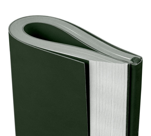 Ежедневник Flat, недатированный, зеленый