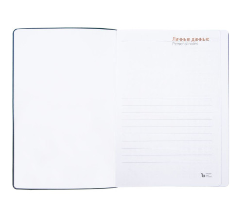 Ежедневник Flexpen Color, датированный, синий