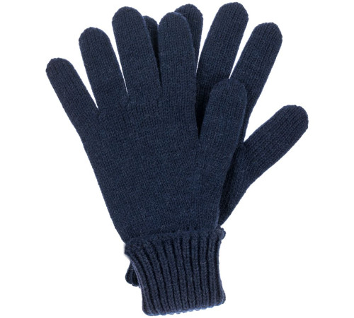 Перчатки Alpine, темно-синие