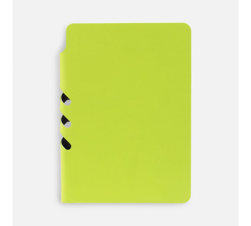 Ежедневник Flexpen Mini, недатированный, светло-зеленый