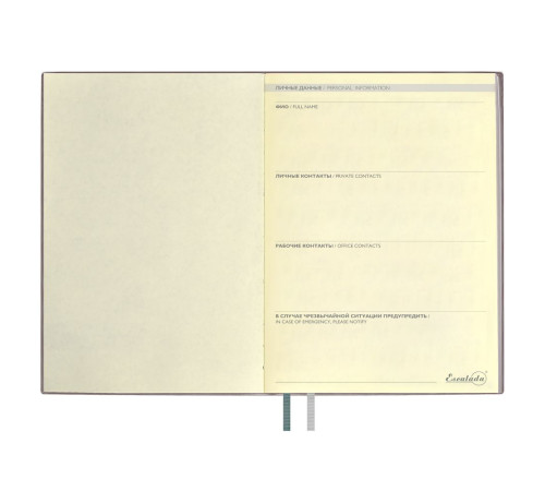 Ежедневник Avila, недатированный, серый