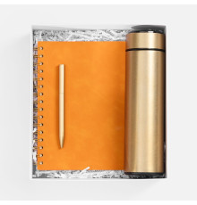 Набор Spiral Gold, оранжевый