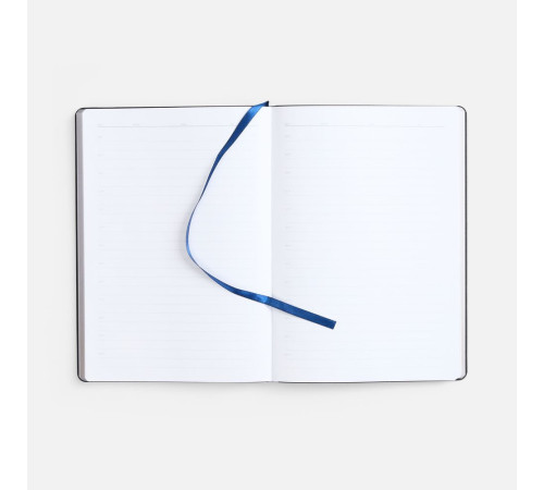 Ежедневник Nebraska Flex, недатированный, синий с серебром