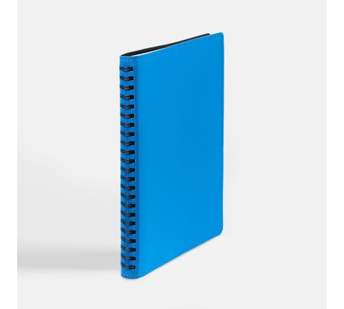 Ежедневник Spring Shall, недатированный, голубой