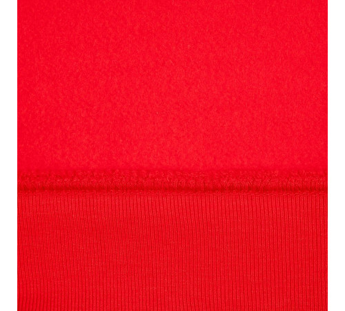 Худи унисекс Phoenix, красное