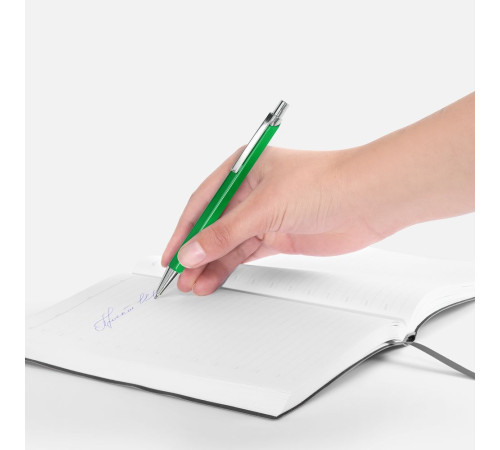 Ручка шариковая Alumno, зеленая