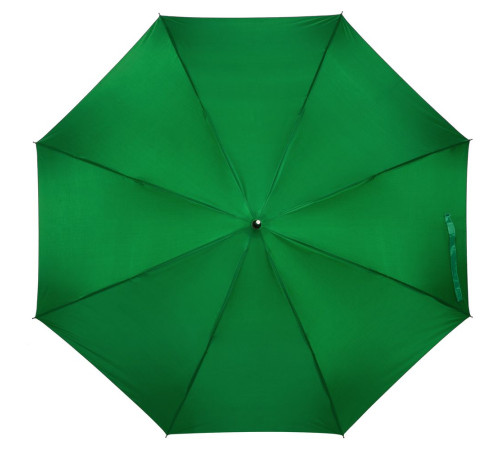 Зонт-трость Silverine, ярко-зеленый