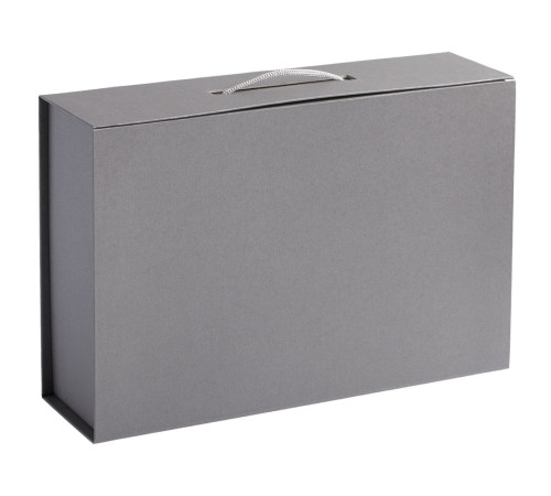 Коробка Case, серебристая