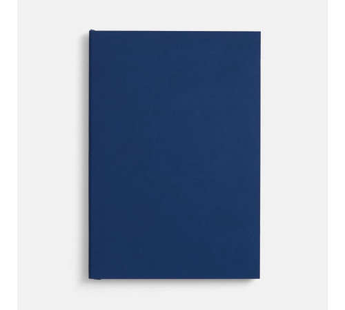 Ежедневник Flat, недатированный, синий, ver.2